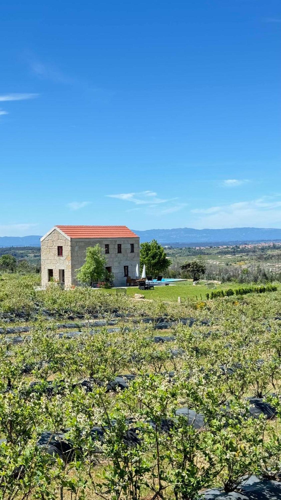 Quinta Da Cumieira Nova Villa Seia Buitenkant foto